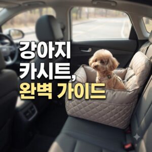 임영웅 강아지 카시트 선택 기준과 사용 예외 살펴보기