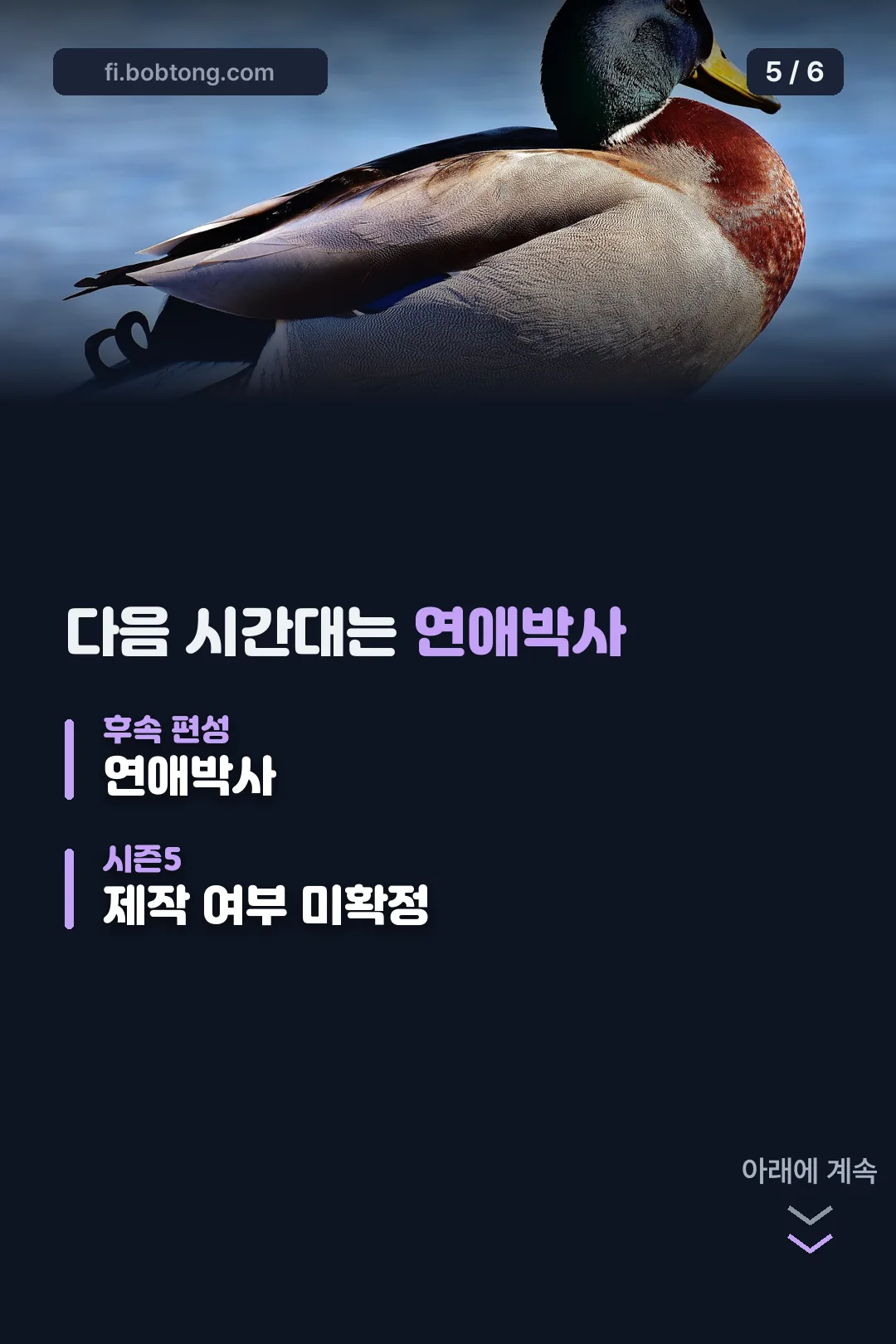 후속 편성 연애박사